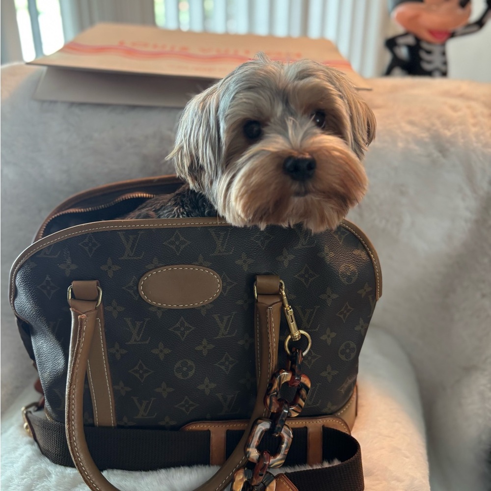 Louis Vuitton - Picture 2 of 13